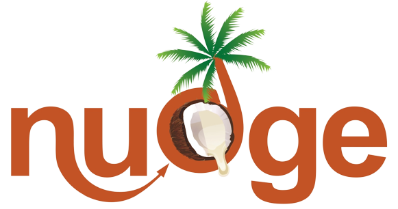 Best coconut paste Nudge